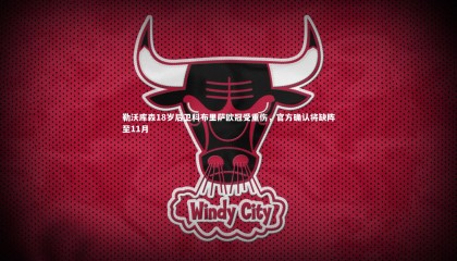 熊猫体育官网_勒沃库森18岁后卫科布里萨欧冠受重伤，官方确认将缺阵至11月